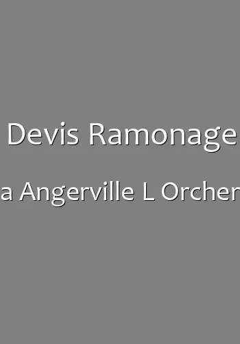 Devis Ramonage a Angerville L Orcher