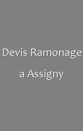 Devis Ramonage a Assigny