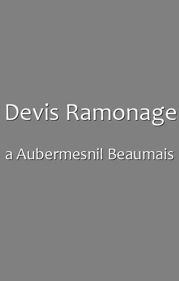 Devis Ramonage a Aubermesnil Beaumais