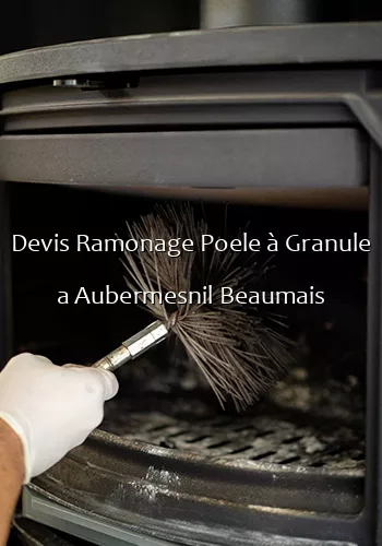 Devis Ramonage Poele à Granule a Aubermesnil Beaumais