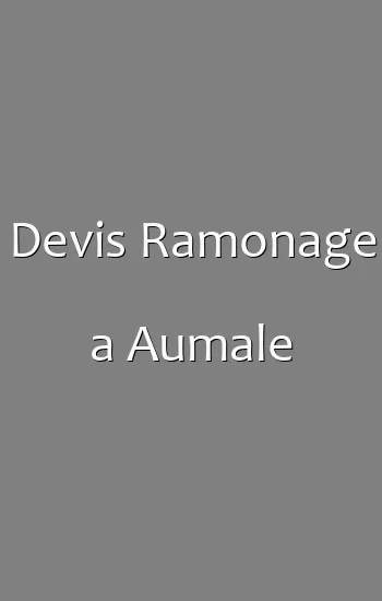 Devis Ramonage a Aumale