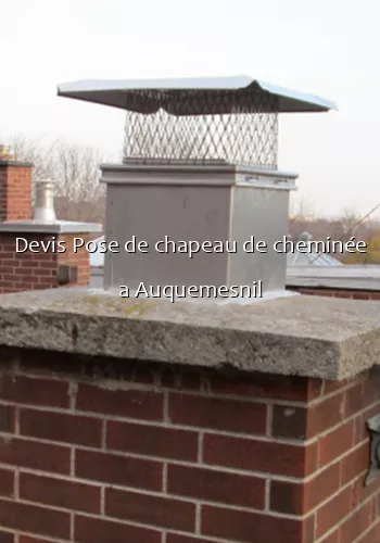 Devis Pose de chapeau de cheminée a Auquemesnil