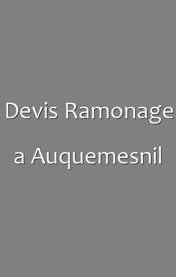 Devis Ramonage a Auquemesnil