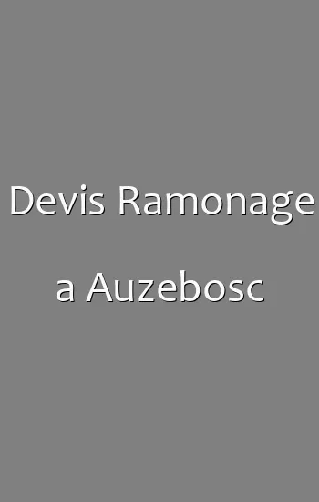 Devis Ramonage a Auzebosc