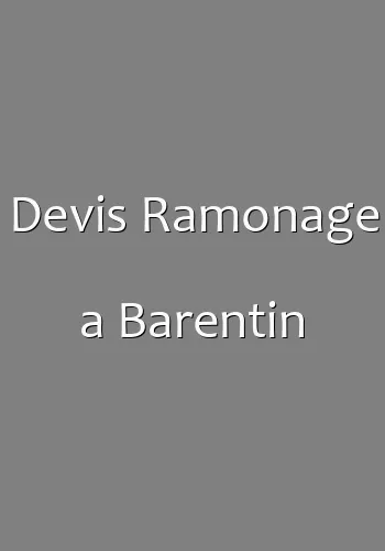 Devis Ramonage a Barentin