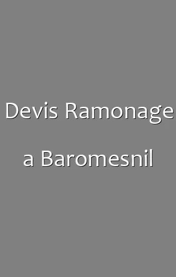 Devis Ramonage a Baromesnil