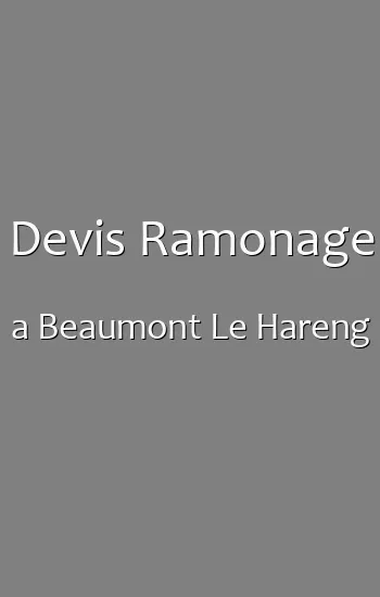 Devis Ramonage a Beaumont Le Hareng