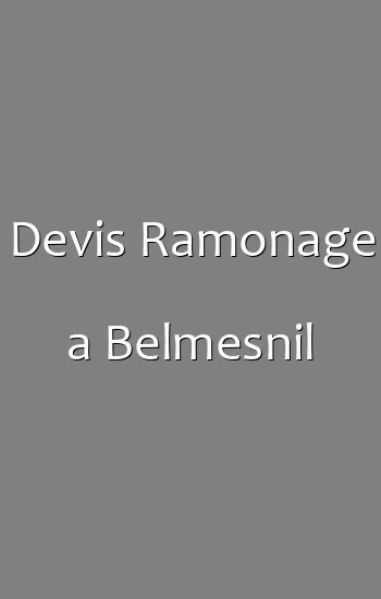 Devis Ramonage a Belmesnil