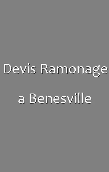 Devis Ramonage a Benesville
