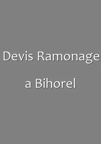 Devis Ramonage a Bihorel