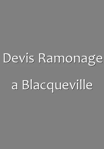 Devis Ramonage a Blacqueville