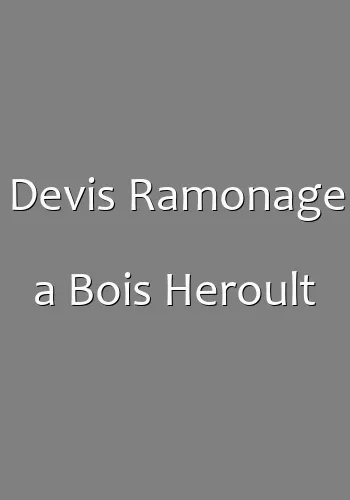 Devis Ramonage a Bois Heroult