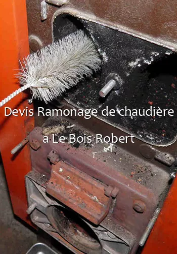 Devis Ramonage de chaudière a Le Bois Robert