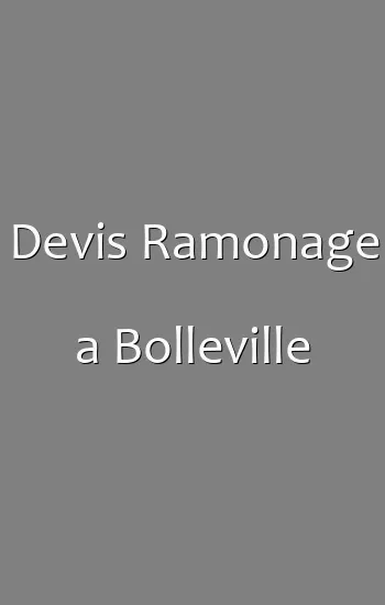 Devis Ramonage a Bolleville
