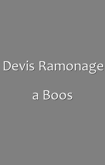 Devis Ramonage a Boos