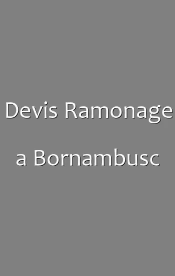 Devis Ramonage a Bornambusc