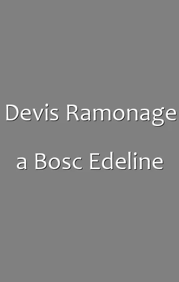 Devis Ramonage a Bosc Edeline