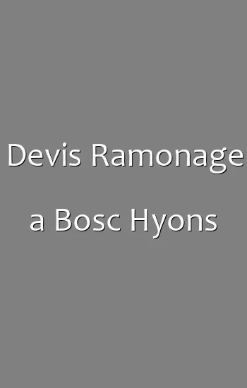 Devis Ramonage a Bosc Hyons