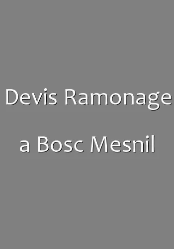 Devis Ramonage a Bosc Mesnil