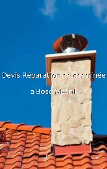 Devis Réparation de cheminée a Bosc Mesnil