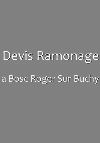 Devis Ramonage a Bosc Roger Sur Buchy