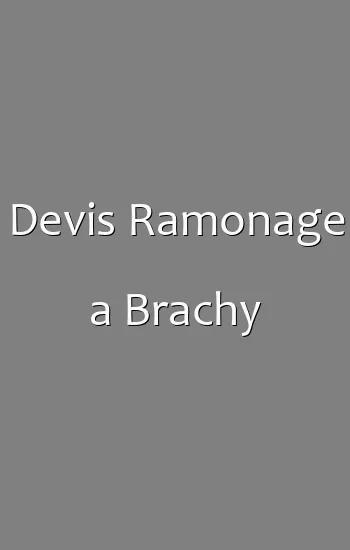 Devis Ramonage a Brachy