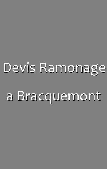 Devis Ramonage a Bracquemont