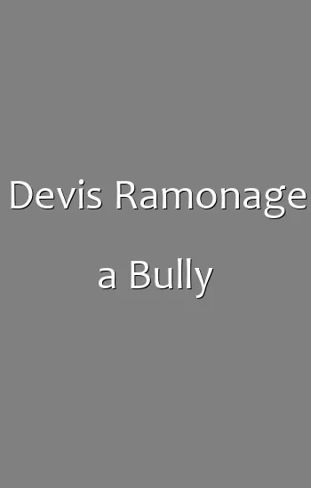 Devis Ramonage a Bully