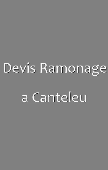 Devis Ramonage a Canteleu