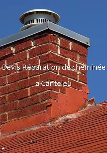 Devis Réparation de cheminée a Canteleu