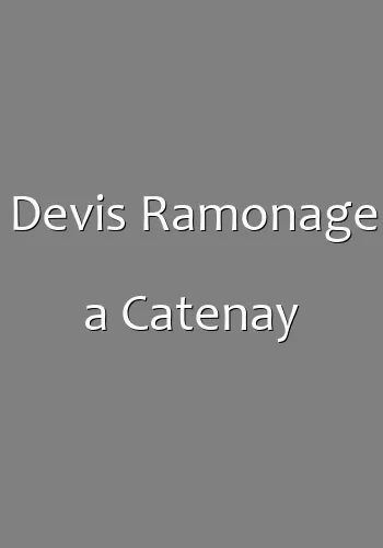 Devis Ramonage a Catenay