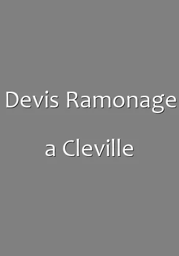 Devis Ramonage a Cleville
