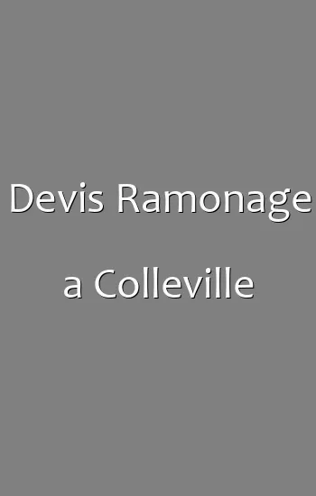 Devis Ramonage a Colleville