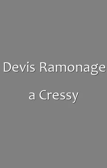 Devis Ramonage a Cressy