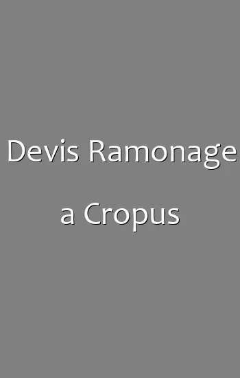 Devis Ramonage a Cropus