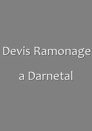 Devis Ramonage a Darnetal