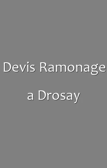 Devis Ramonage a Drosay