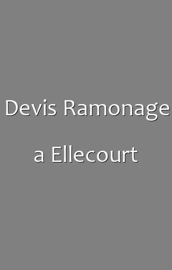 Devis Ramonage a Ellecourt