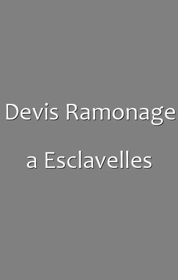 Devis Ramonage a Esclavelles