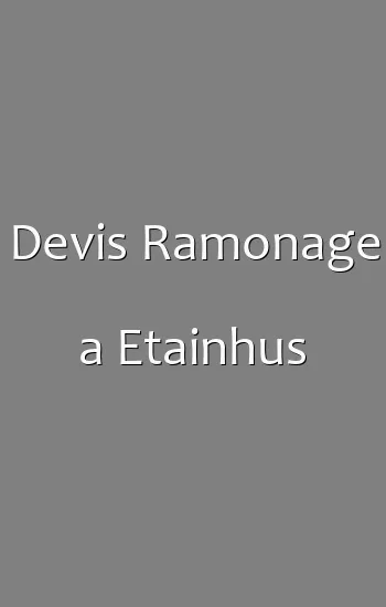 Devis Ramonage a Etainhus