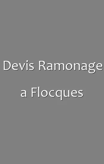 Devis Ramonage a Flocques