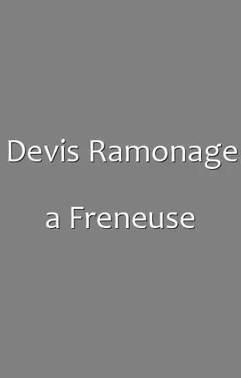 Devis Ramonage a Freneuse