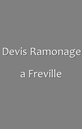 Devis Ramonage a Freville