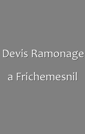 Devis Ramonage a Frichemesnil