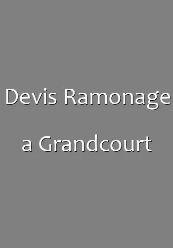 Devis Ramonage a Grandcourt