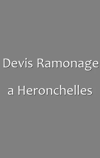 Devis Ramonage a Heronchelles