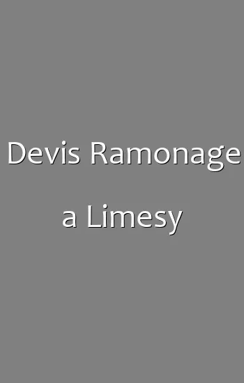 Devis Ramonage a Limesy