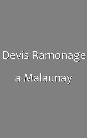 Devis Ramonage a Malaunay