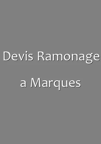 Devis Ramonage a Marques