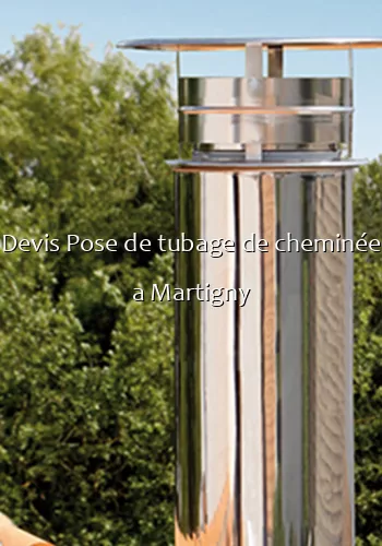 Devis Pose de tubage de cheminée a Martigny